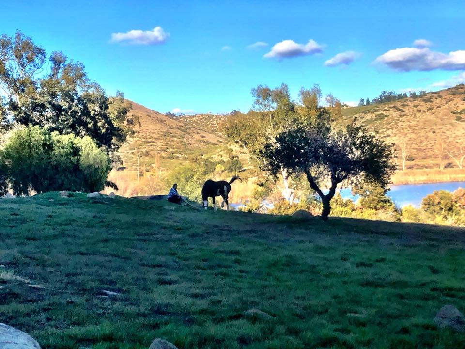 Bibby Ranch (Horseback Riding Lessons & Boarding) | 19874 7th Pl, Escondido, CA 92029, USA | Phone: (760) 503-5400