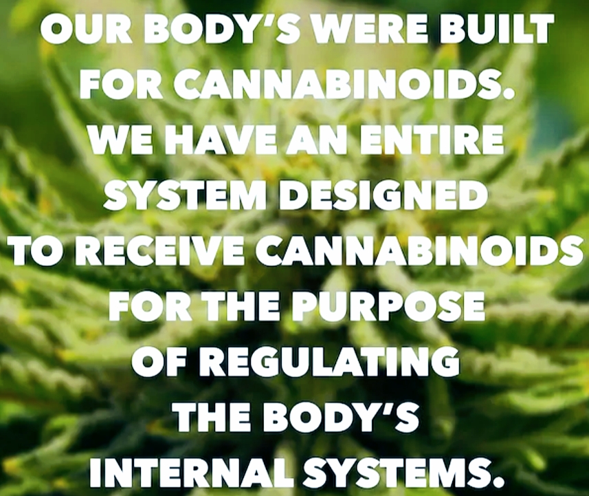 Health and Wellness CBD Shop | 11210 Fourth St, Rancho Cucamonga, CA 91730 | Phone: (909) 236-0130