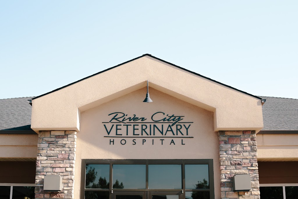 River City Veterinary Hospital | 2250 W Everest Ln, Meridian, ID 83646, USA | Phone: (208) 888-7300