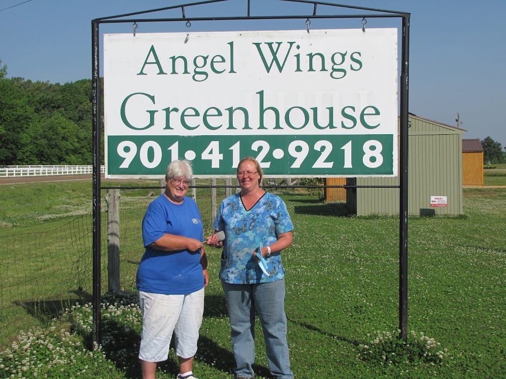 Angel Wings Greenhouse | 6656 MS-178, Byhalia, MS 38611, USA | Phone: (901) 412-9218