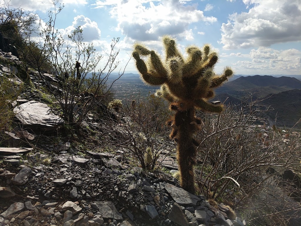 Black Mountain Preserve | Black Mountain Summit Trail, Cave Creek, AZ 85331, USA | Phone: (480) 488-6131