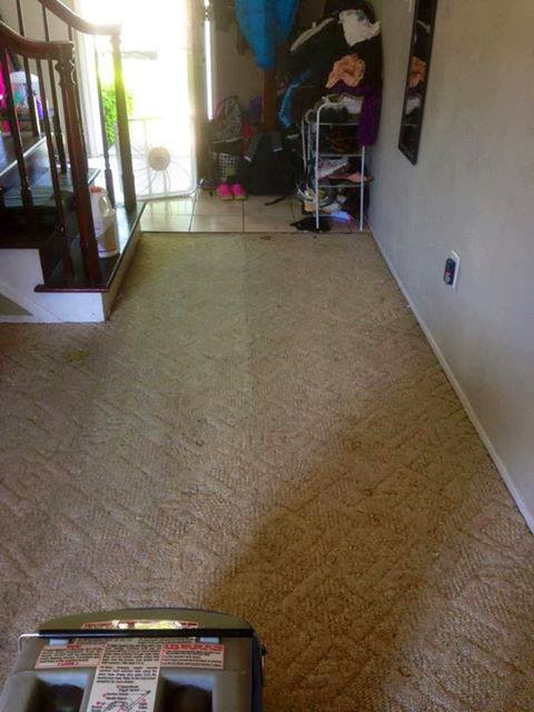 Force Carpet Cleaning & Water Restoration | 4574 Elizabeth Lake Rd, Waterford Twp, MI 48328 | Phone: (248) 892-9799