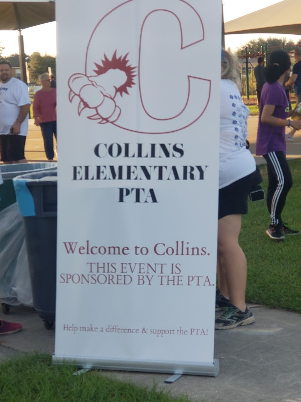 Collins Elementary School | 12424 Summerfield Blvd, Riverview, FL 33569, USA | Phone: (813) 672-5400
