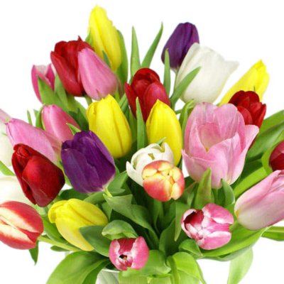 Sams Club Floral | 22500 Eight Mile Rd, Southfield, MI 48033, USA | Phone: (248) 354-1108