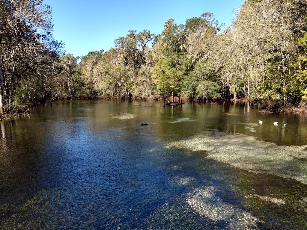 Crystal Springs Preserve | 1609 Crystal Springs Rd, Zephyrhills, FL 33540, USA | Phone: (813) 715-9707