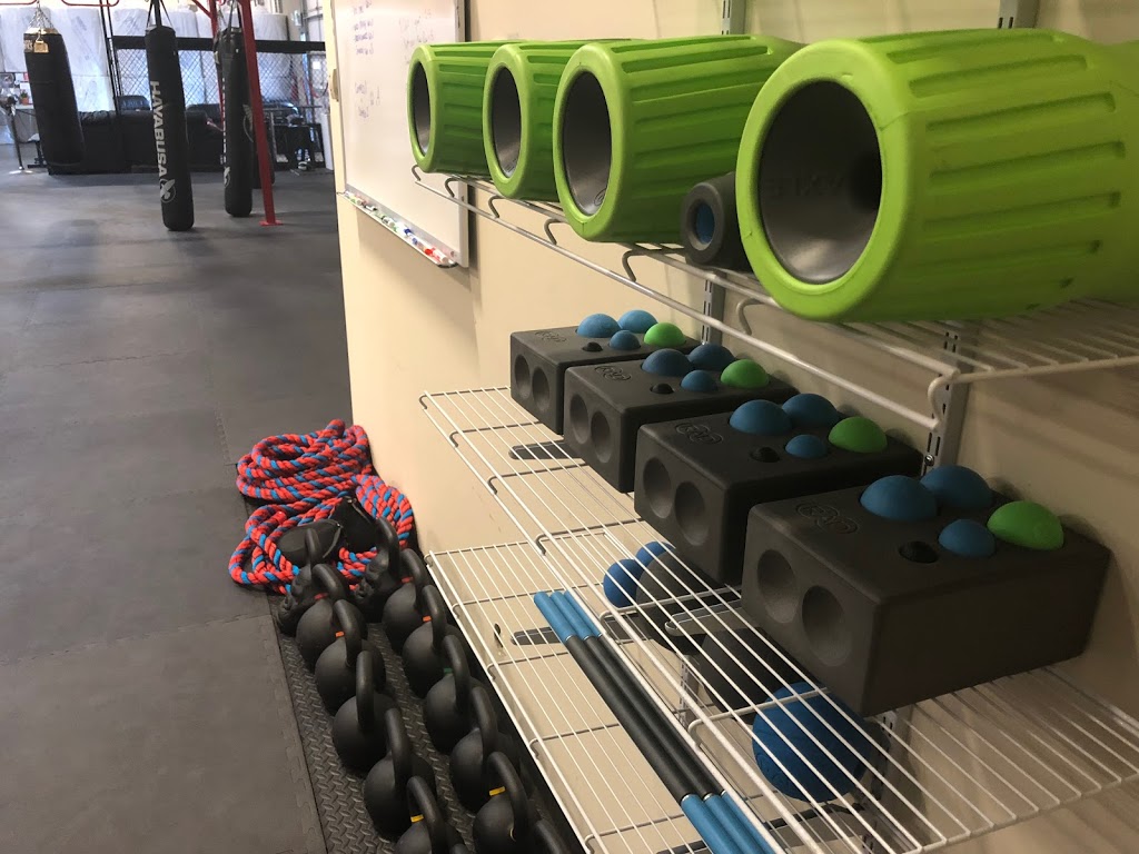 Sharkk Fitness | 5255 Xenon St, Arvada, CO 80002, USA | Phone: (586) 610-3647