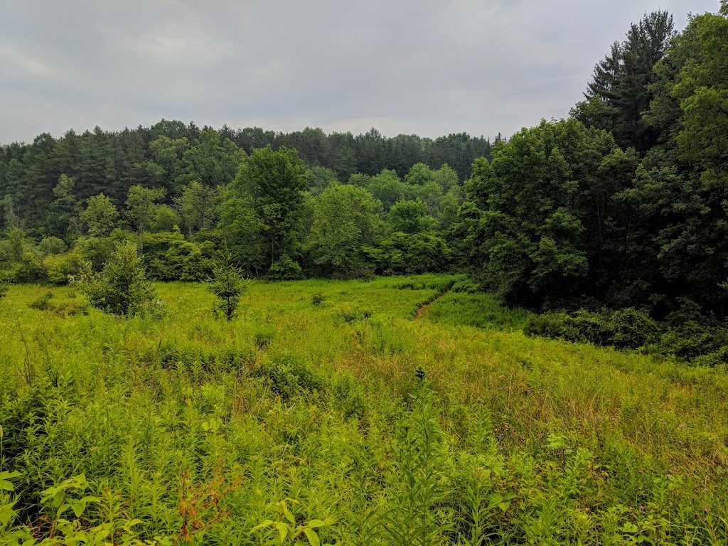 Kenneglenn Scenic and Nature Preserve | 11663 Strykersville Rd, East Aurora, NY 14052, USA | Phone: (716) 687-1225