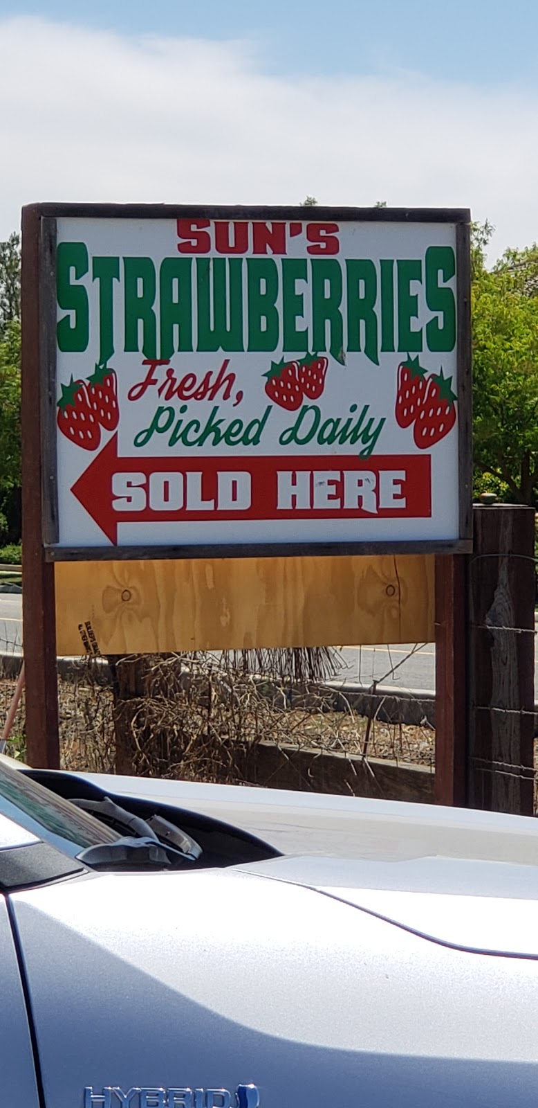 Sun’s Strawberries | 4625 Bilby Rd, Elk Grove, CA 95757, USA | Phone: (916) 716-2142