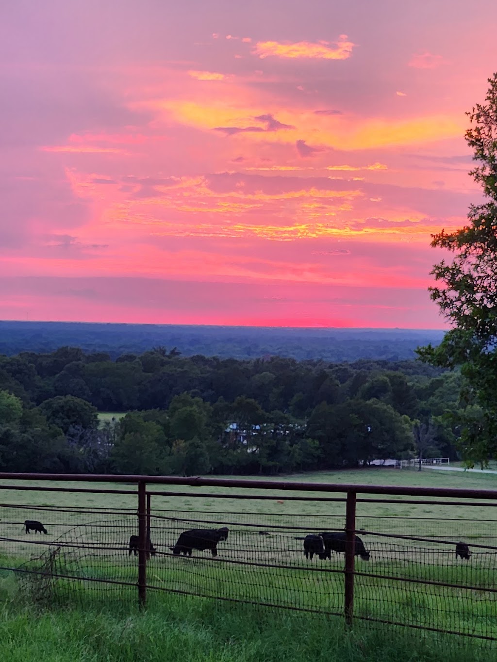 HLR Beef Shop | 111 US-175 W, Eustace, TX 75124, USA | Phone: (903) 425-9014