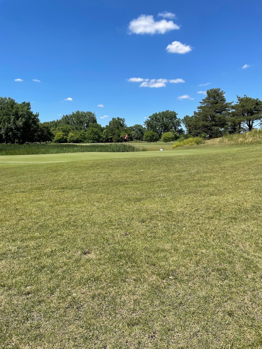 Taylor Meadows Golf Club | 25360 Ecorse Rd, Taylor, MI 48180, USA | Phone: (734) 287-2100