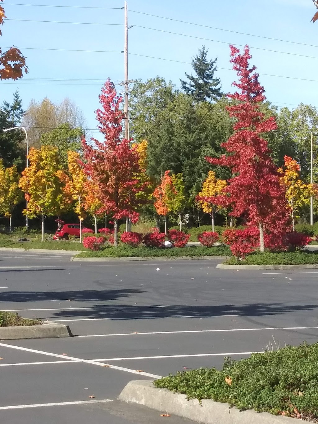 Twin Lakes Park & Ride | SW 344th St & 21st Ave SW, Federal Way, WA 98023, USA | Phone: (206) 553-3000