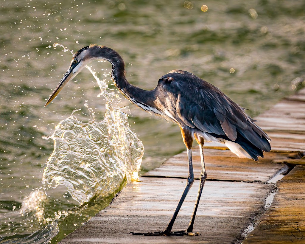 Aransas Bay Bait Company | 350 Deforest Loop, Fulton, TX 78358, USA | Phone: (361) 463-1814