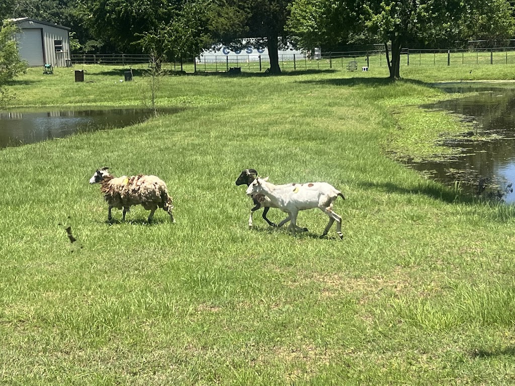 Salamis Farms | 10349 Shadow Valley Ct, Burleson, TX 76028, USA | Phone: (918) 815-0245