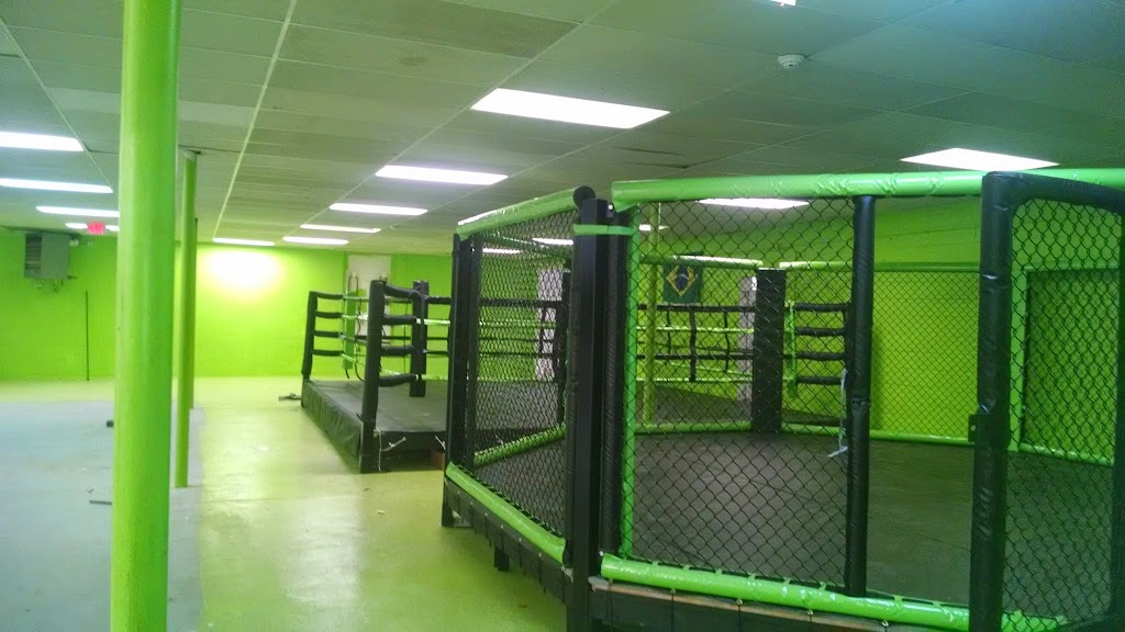 Animals MMA Yonkers | 16 Tuckahoe Rd, Yonkers, NY 10710, USA | Phone: (914) 623-7295