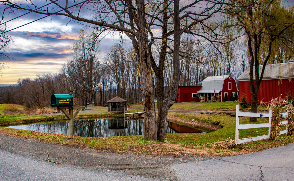 Shadow Hills Farm | 1546 Mahaffy Rd, Fort Edward, NY 12828, USA | Phone: (518) 232-7004