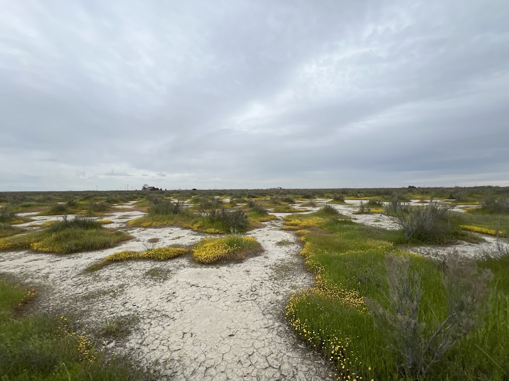 Alkali Sink Ecological Reserve | Kerman, CA 93630, USA | Phone: (559) 243-4014