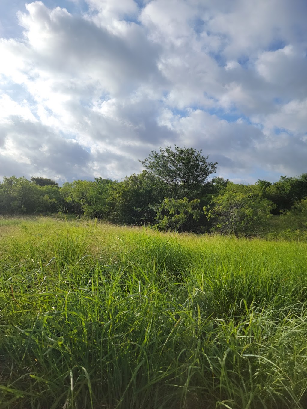 Arbor Hills Nature Preserve | 6701 W Parker Rd, Plano, TX 75093, USA | Phone: (972) 941-7250