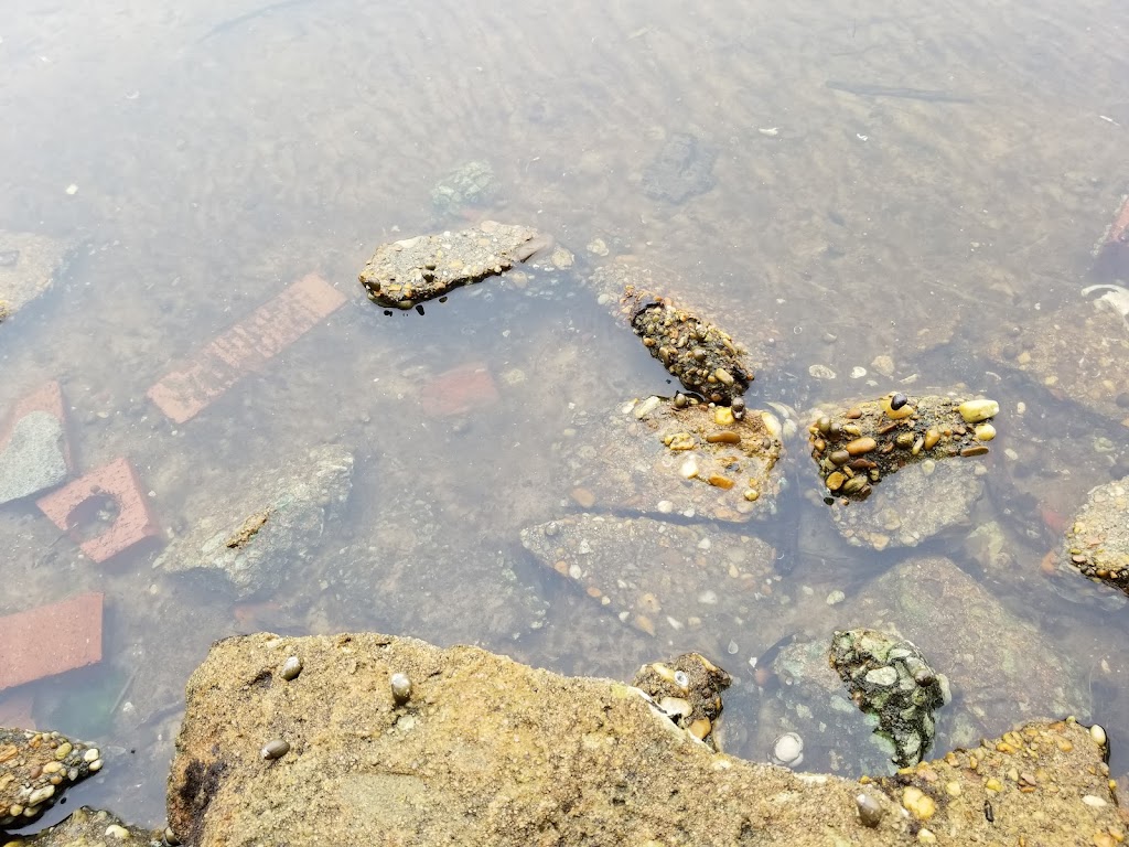 River Oaks Park | 1000 River Oaks Rd, Jacksonville, FL 32207, USA | Phone: (904) 630-2489