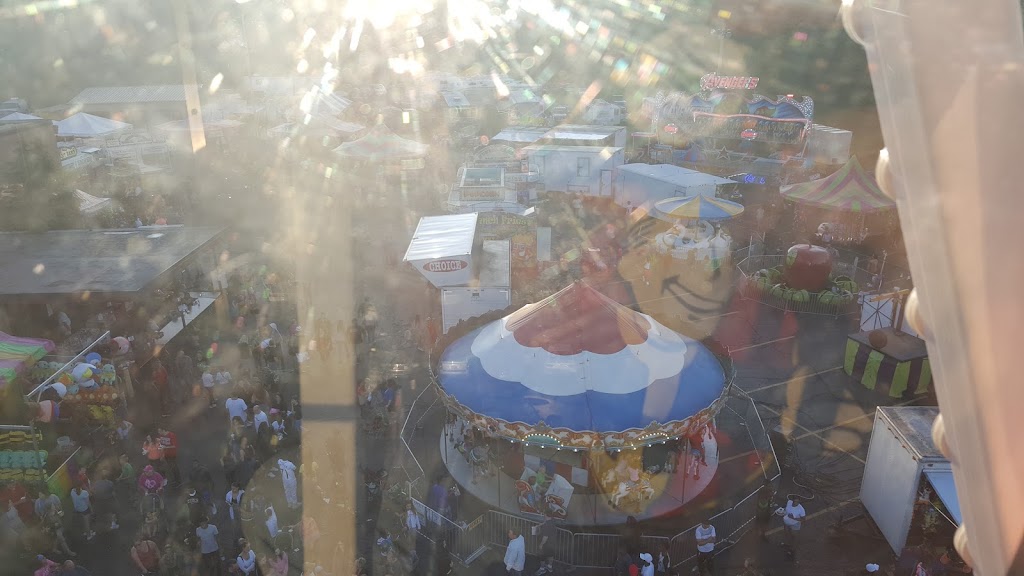 Immaculate Heart of Mary Roman Catholic Parish | 4490 Norquest Blvd, Austintown, OH 44515, USA | Phone: (330) 793-9988