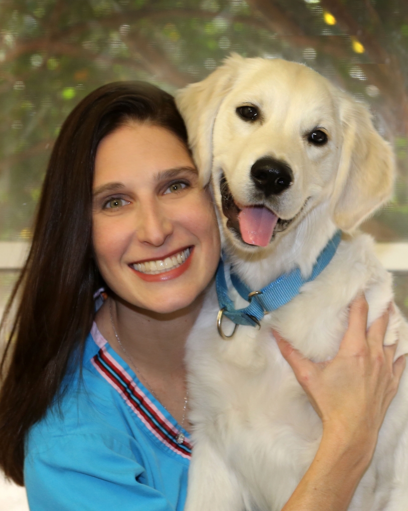 Bissonnet Southampton Vet Clinic | 2028 Bissonnet St, Houston, TX 77005, USA | Phone: (713) 520-8743