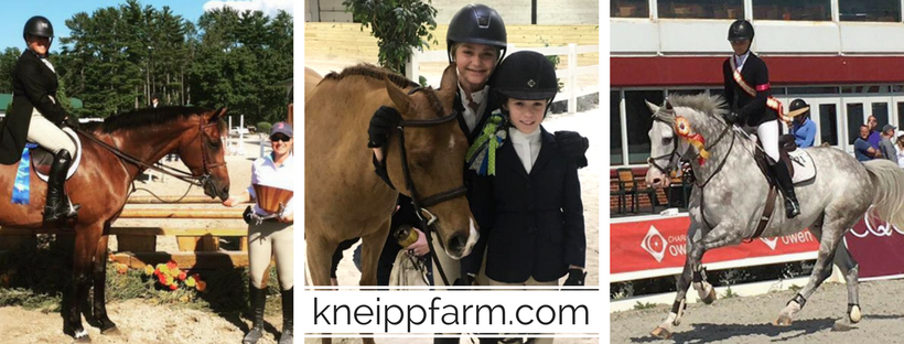 Kneipp Farm: Horse Riding Lessons & Boarding | Xd, 6743 Ragland Rd, Cincinnati, OH 45244, USA | Phone: (513) 374-9028