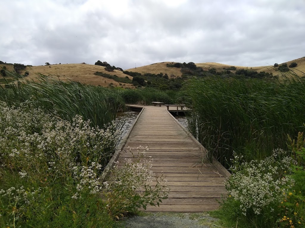Coyote Hills Regional Park | 8000 Patterson Ranch Rd, Fremont, CA 94555, USA | Phone: (510) 544-3220