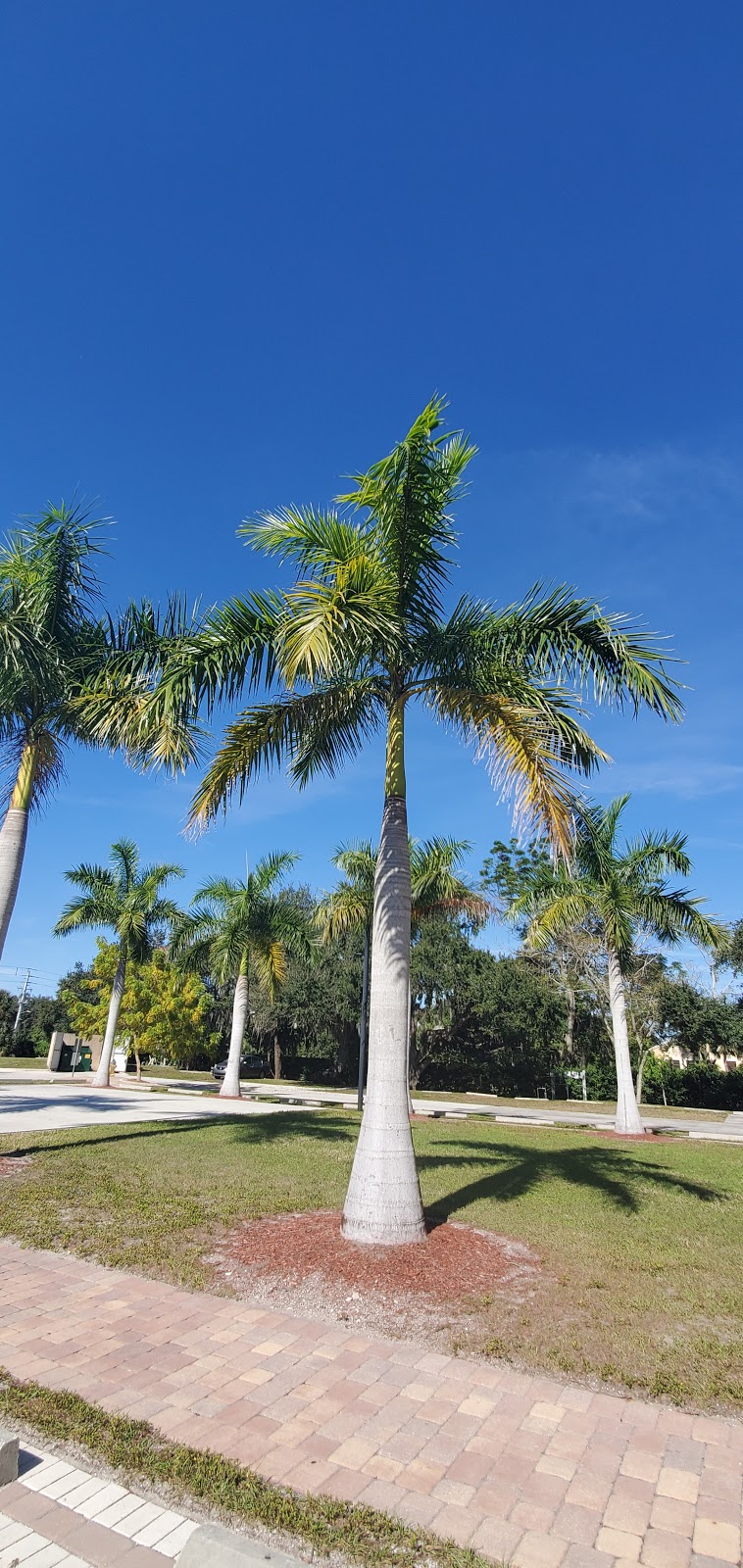 Islamic Society of Sarasota Bradenton | 4350 N Lockwood Ridge Rd, Sarasota, FL 34234, USA | Phone: (941) 351-3393