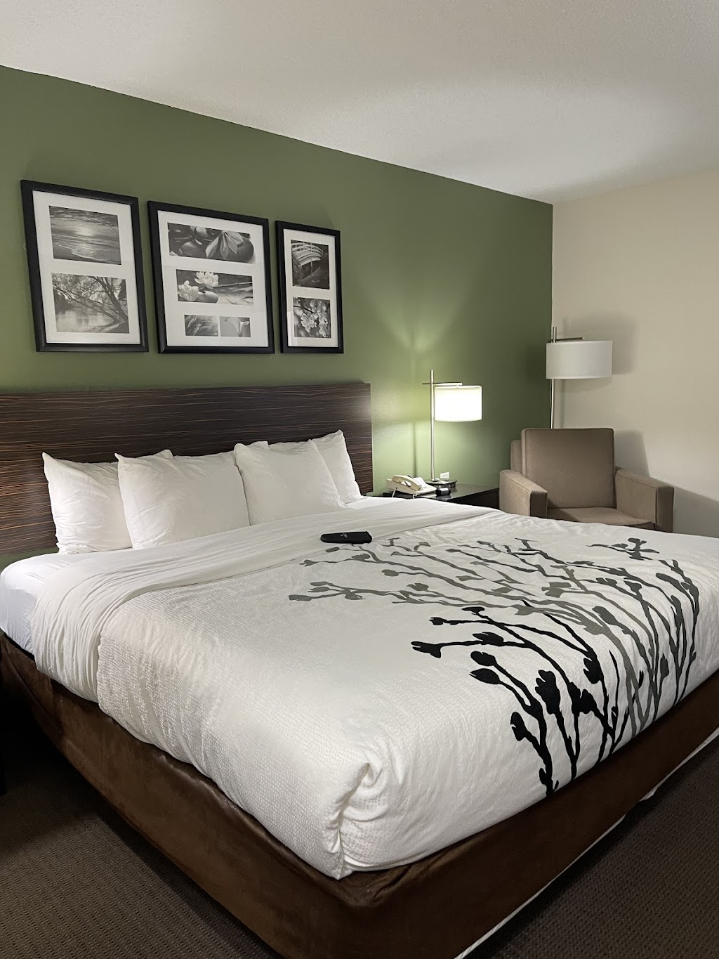 Sleep Inn & Suites Smithfield near I-95 | 270 N Equity Dr, Smithfield, NC 27577, USA | Phone: (919) 209-2360