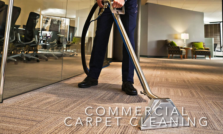 Blue Ribbon Carpet Cleaning | 924 Cardinal Ridge Rd, Burleson, TX 76028, USA | Phone: (817) 914-4450