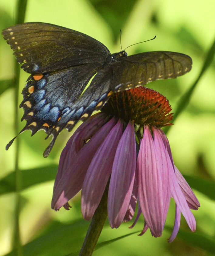 LMC Peters Cartridge Riverfront Nature Preserve | Maineville, OH 45039, USA | Phone: (513) 965-9344