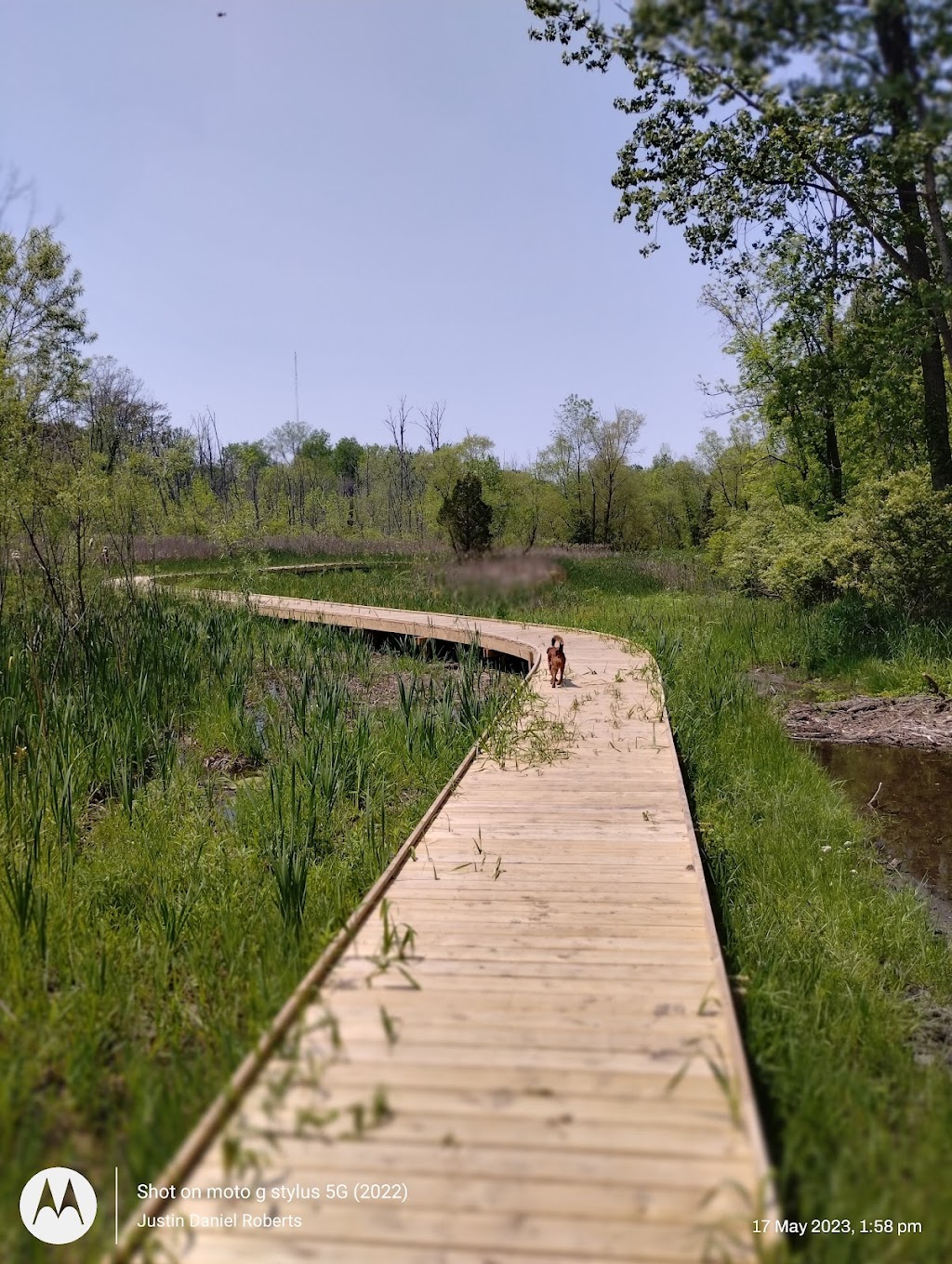 Sara Lee Arnovitz Nature Preserve | 350 Kinsey Rd, Xenia, OH 45385, USA | Phone: (937) 562-6440