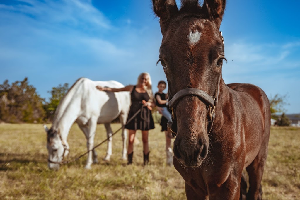 Austin Equine Hospital | 20640 Ranch to Market Rd 150, Driftwood, TX 78619, USA | Phone: (512) 858-0058