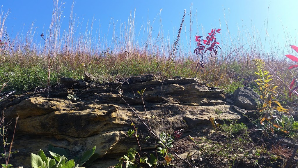 Muralt Bluff Prairie State Natural Area | Monticello, WI 53570 | Phone: (608) 266-0394