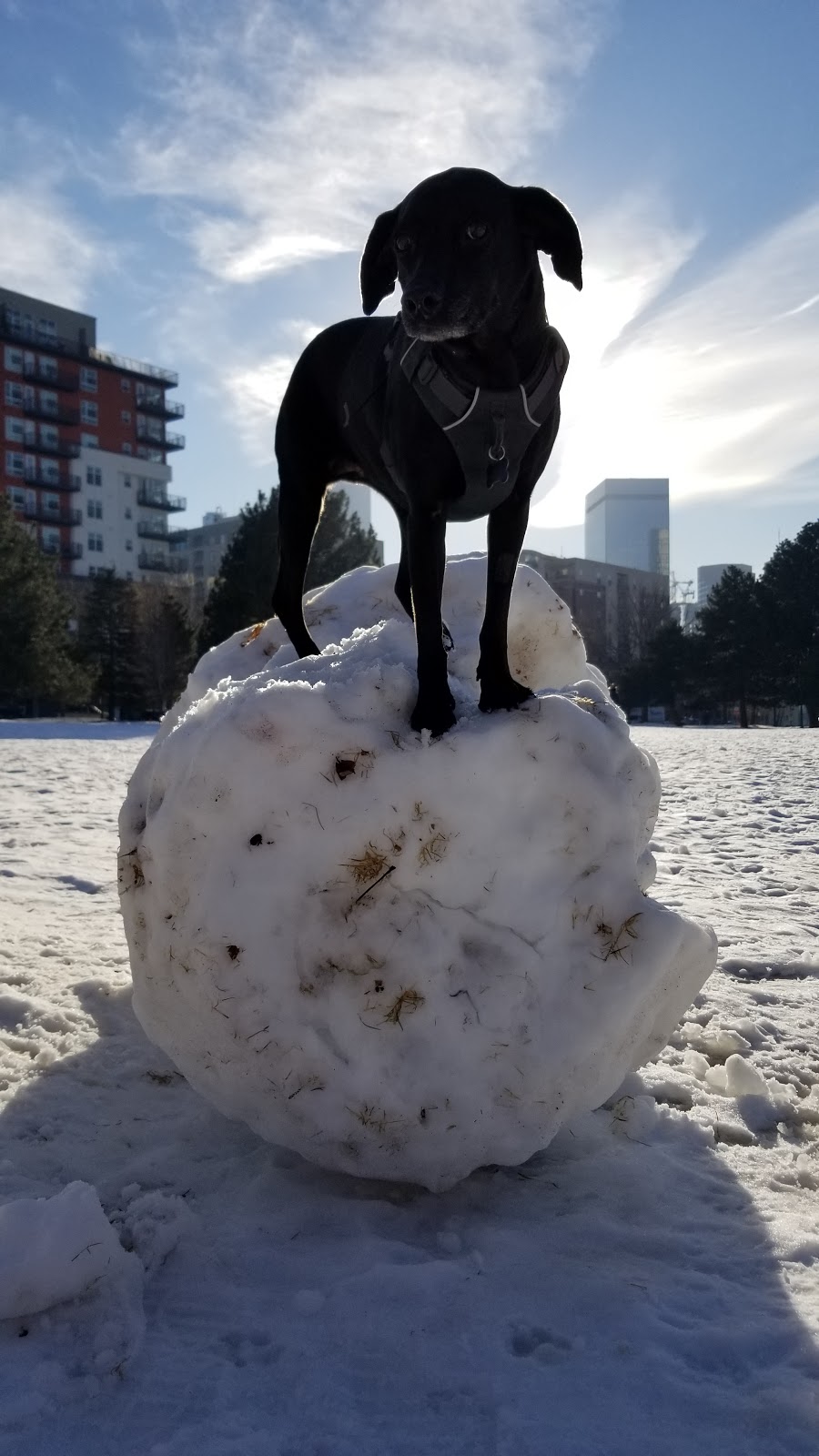 Benedict Fountain Park | 401 E 20th Ave, Denver, CO 80205, USA | Phone: (720) 913-1311