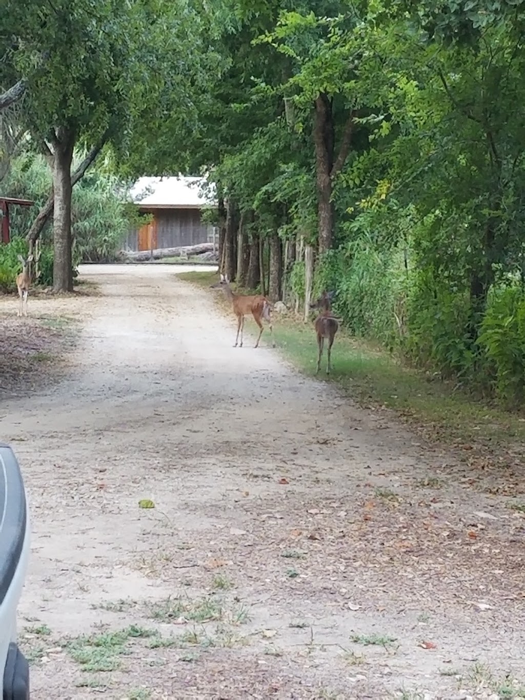 Bobcat Bungalows | Bobcat Run, New Braunfels, TX 78132, USA | Phone: (830) 907-3780