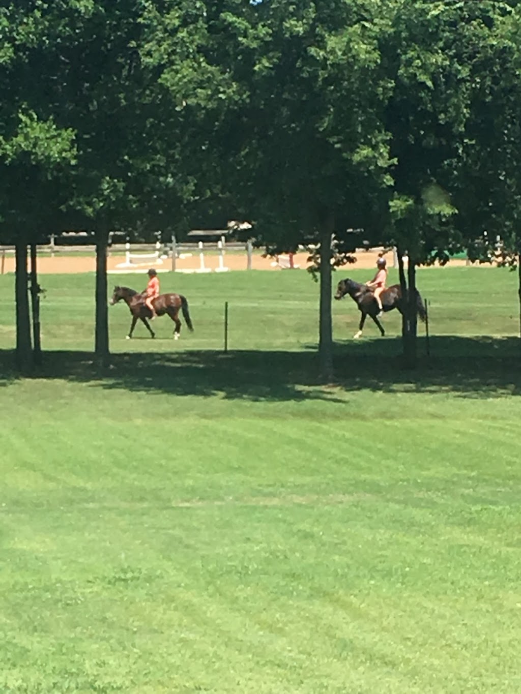 SaddleBack Equestrian | 22650 East 71st St S, Broken Arrow, OK 74014 | Phone: (918) 408-6446