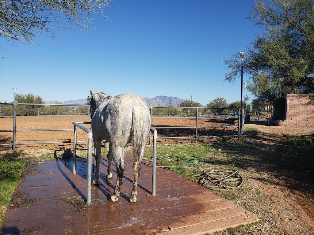 Rocking M Ranch | 6265 Happy Trail, Tucson, AZ 85743, USA | Phone: (520) 744-2457