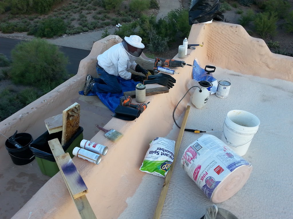 The Beehive Bee and Wasp Removal | 17828 N 10th Ave, Phoenix, AZ 85023, USA | Phone: (602) 600-5382