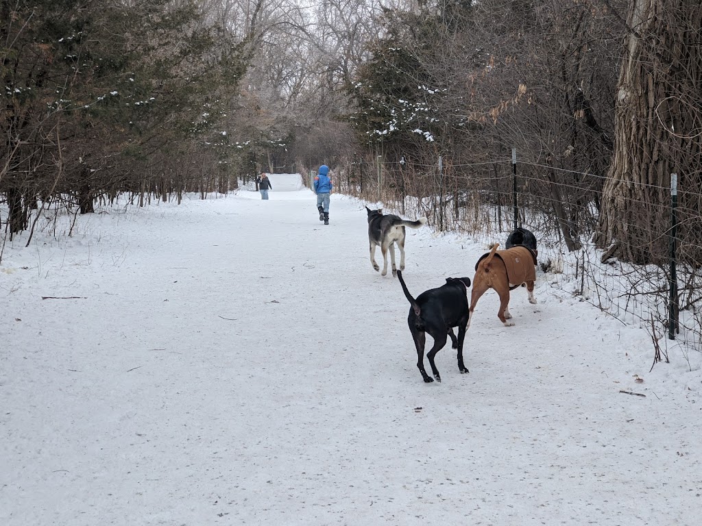 Dakota Woods Fee Dog Park | 16470 Blaine Ave, Rosemount, MN 55068, USA | Phone: (952) 891-7000