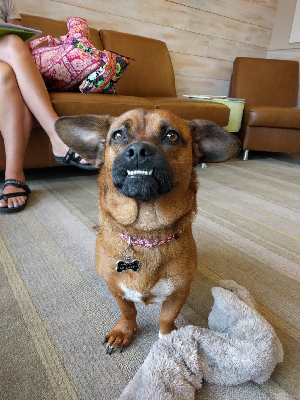 Baggett Dental | 11090 AL-25 Suite A, Calera, AL 35040, USA | Phone: (205) 668-1599