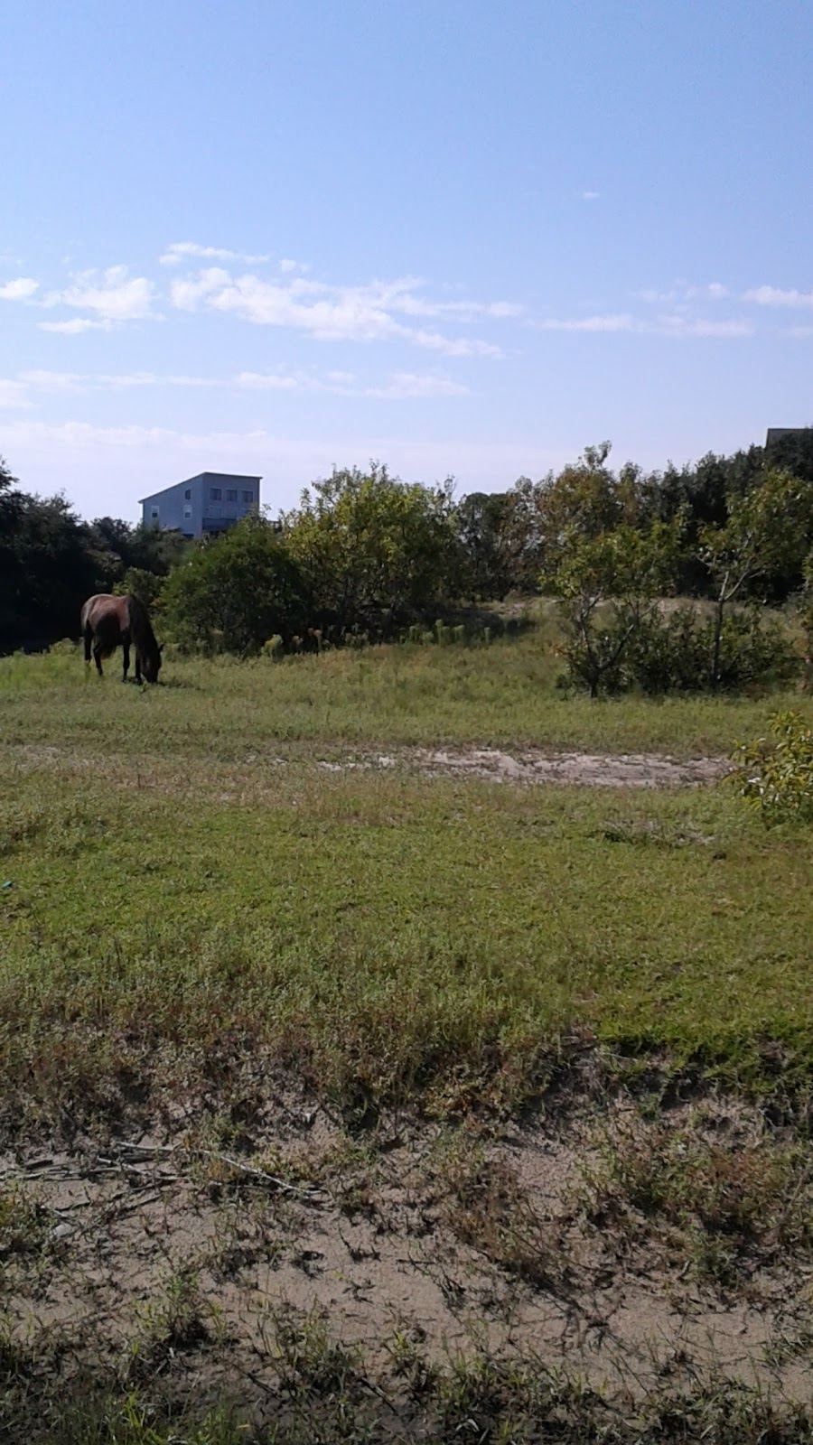 Humvee Adventure Tours | 610 Currituck Clubhouse Dr, Corolla, NC 27927, USA | Phone: (888) 293-3497