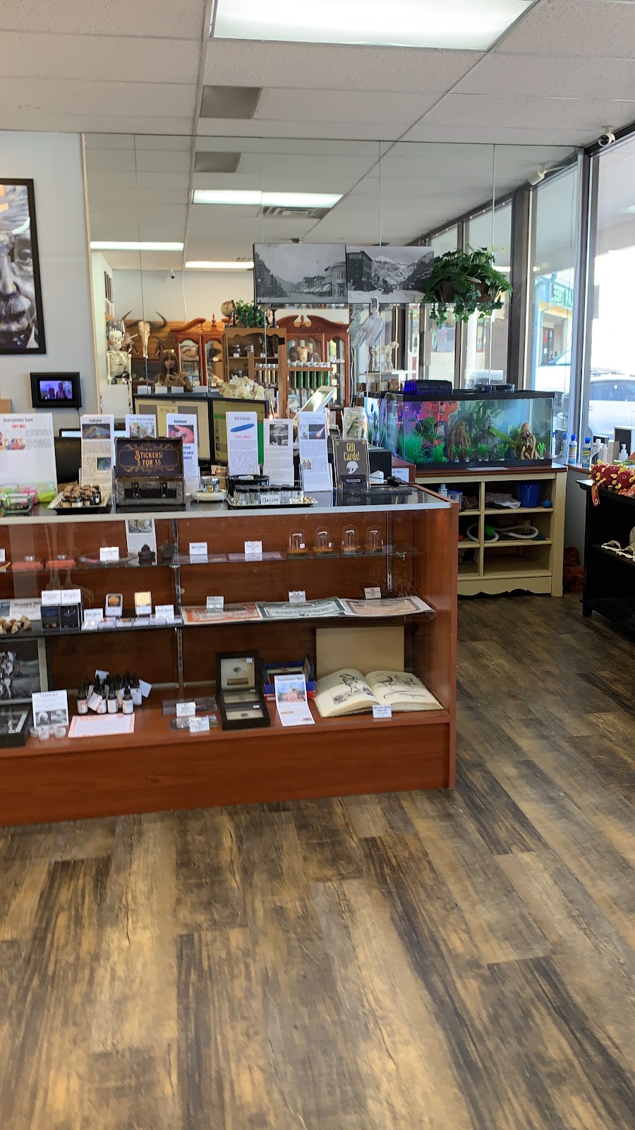 The Golden Curiosity Shop | 17742 S Golden Rd, Golden, CO 80401, USA | Phone: (720) 240-4425