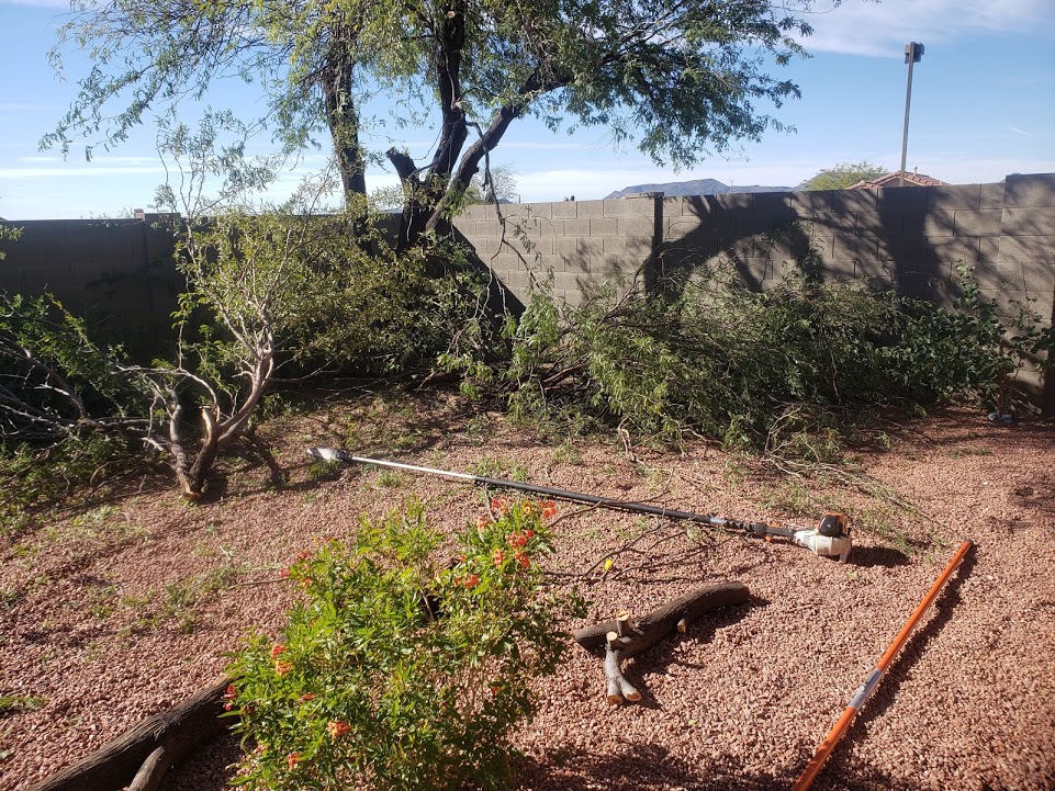 Landscaping Phoenix AZ | 39514 N Messner Way, Phoenix, AZ 85086, USA | Phone: (623) 800-7851