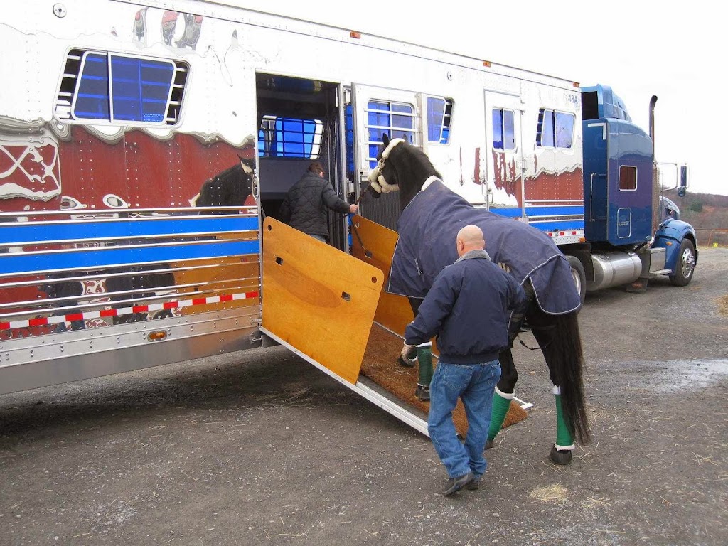 Judge Manning Horse Transportation, Inc. | 18 Mechanic St, Amenia, NY 12501, USA | Phone: (845) 373-8700