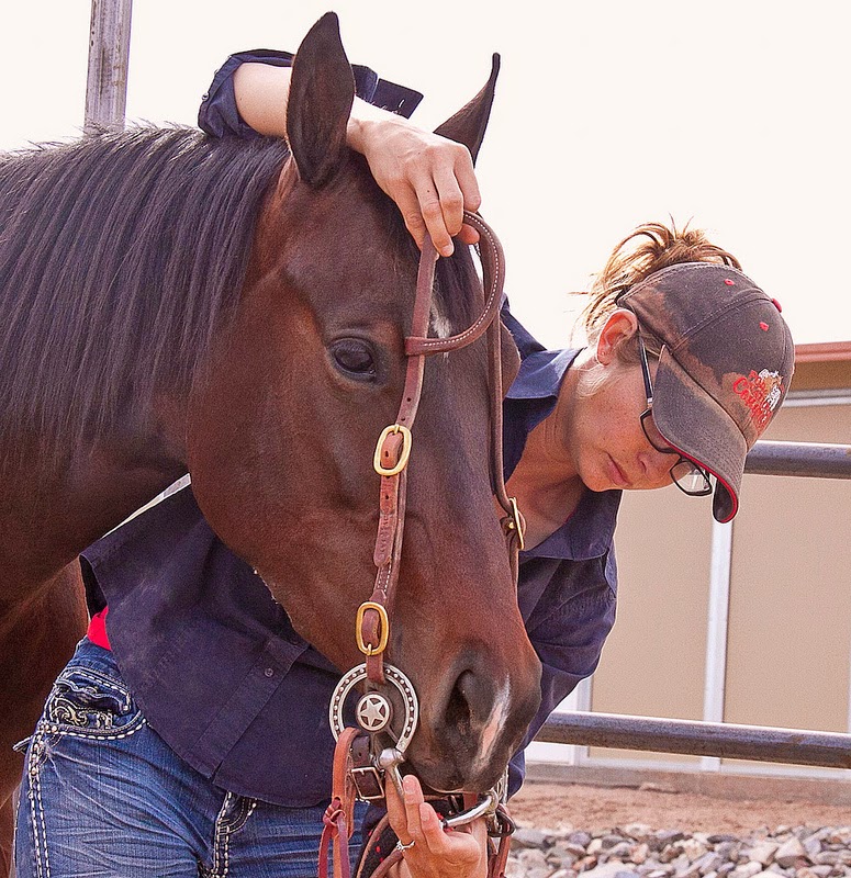 Samantha Walker Performance Horses (SWPH) | 15030 E Chaparosa Way, Scottsdale, AZ 85262 | Phone: (480) 577-1165