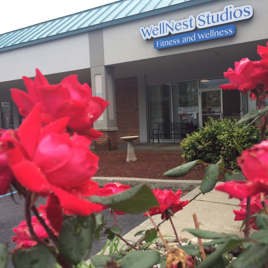 WellNest Studios- Fitness & Wellness LLC | 952 Troy-Schenectady Rd, Latham, NY 12110, USA | Phone: (518) 783-6484