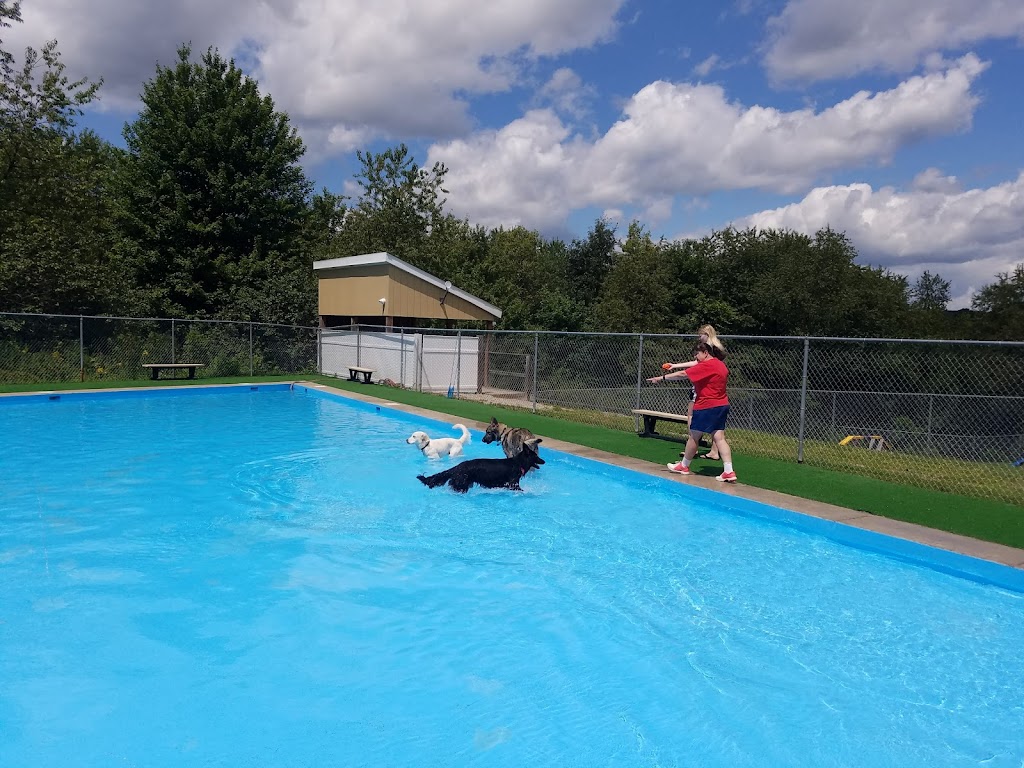 Lucky Paws Pet Resort | 2273 Lovi Rd, Freedom, PA 15042 | Phone: (724) 728-1484