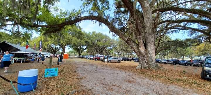 Flea market | 2738 Gall Blvd, Zephyrhills, FL 33541, USA | Phone: (813) 355-6074