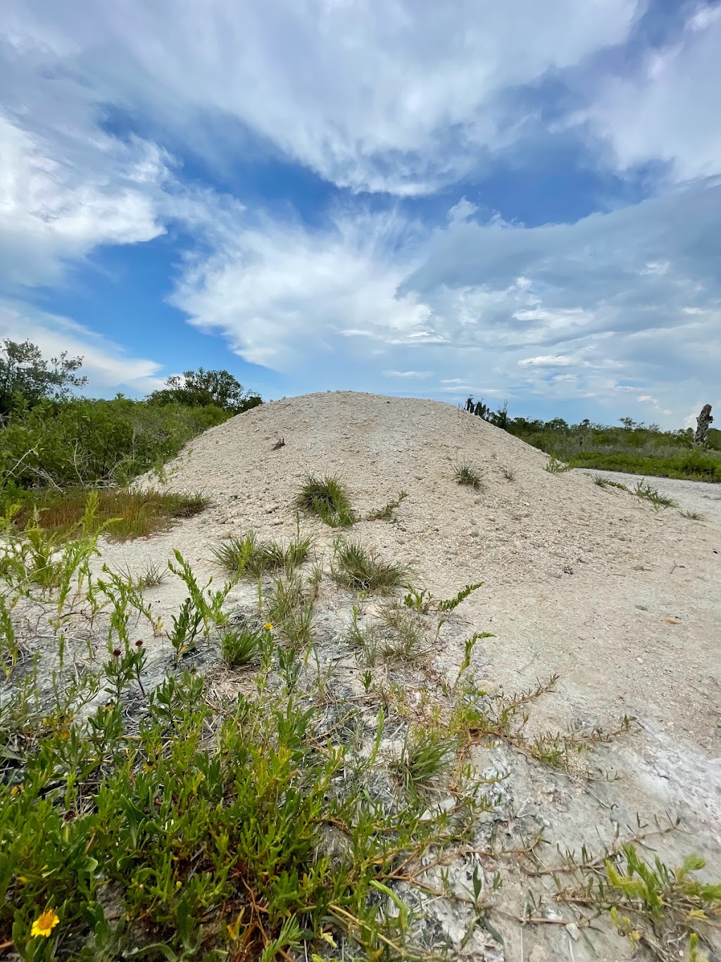 Eagle Point Park | Eagle Point Park, 4499 Straub Memorial Dr, New Port Richey, FL 34652, USA | Phone: (727) 938-2598