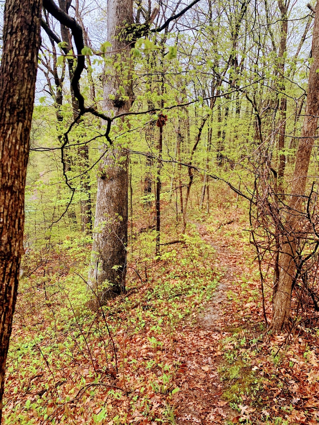 Benton Spillway ‒ River Preserve County Park | 68587 Co Rd 31, Goshen, IN 46526, USA | Phone: (574) 535-6458